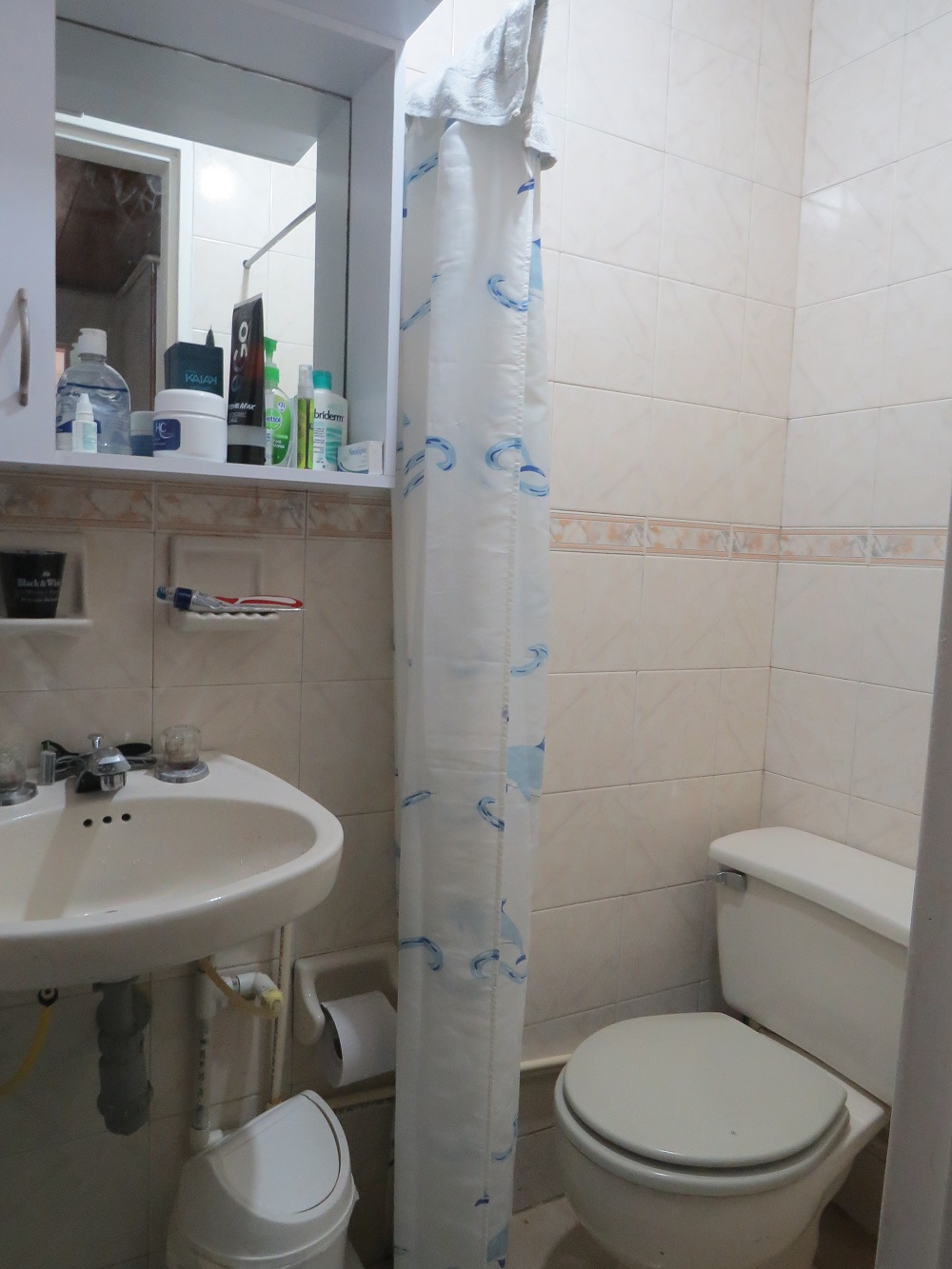 5 Habitaciones Habitaciones, ,4 BathroomsBathrooms,Apartamento,En Venta,1103