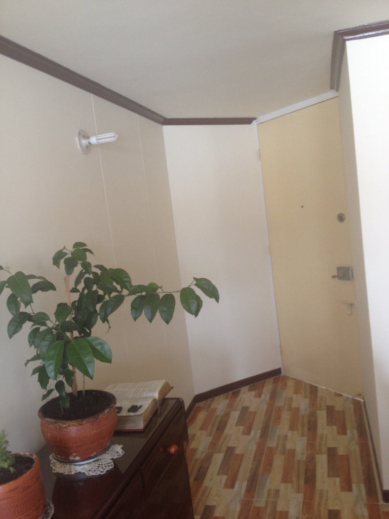 3 Habitaciones Habitaciones, ,2 BathroomsBathrooms,Apartamento,En Venta,1189